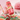 Yara Candy 100ml EDP by Lattafa Perfume