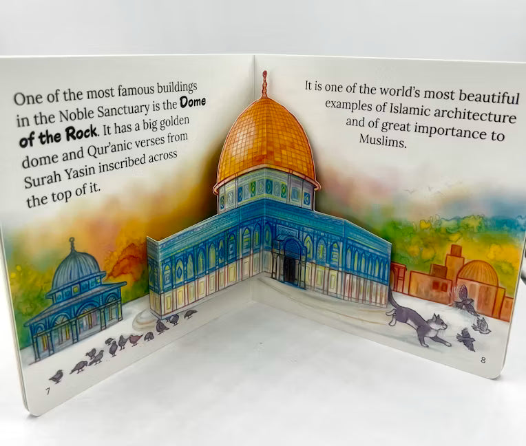 Let's Visit the Three Sacred Mosques Box Set