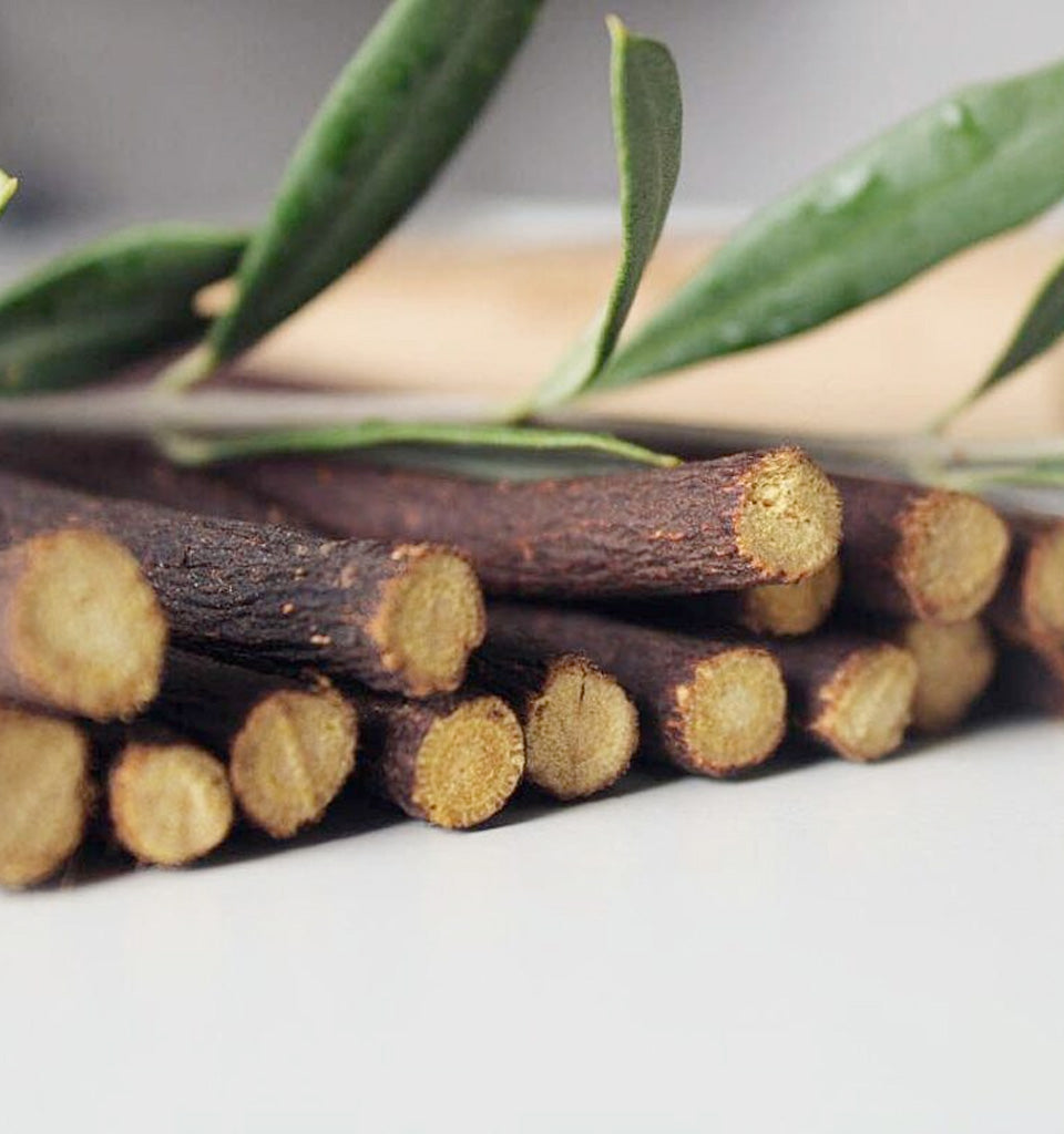 Premium Olive Tree Siwak (Miswak)