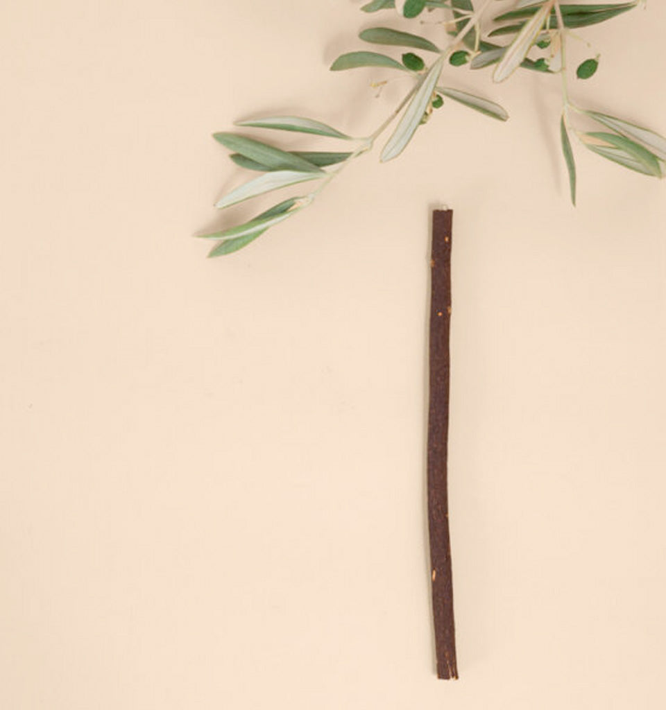 Premium Olive Tree Siwak (Miswak)