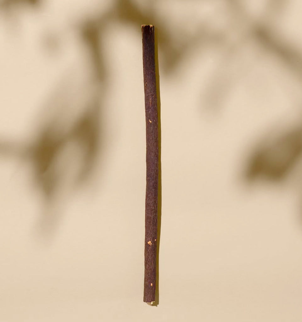 Premium Olive Tree Siwak (Miswak)