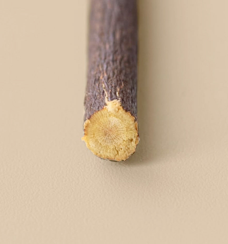 Premium Olive Tree Siwak (Miswak)