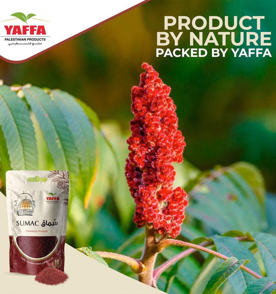 Palestinian Ground Sumac Spice Powder 250g - Islamic Pixels
